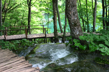 Plitvice020.jpg