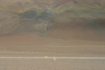 uyuni1028.jpg