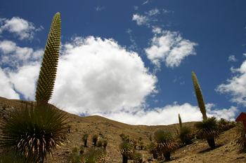 Peru_010.jpg