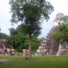 Tikal123.jpg