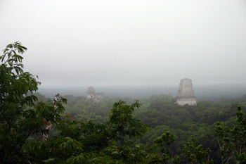 Tikal418.jpg