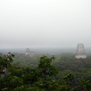 Tikal418.jpg