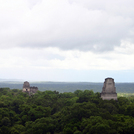 Tikal453.jpg