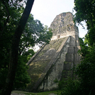 Tikal512.jpg