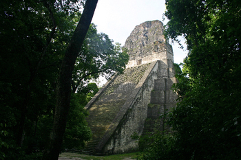 Tikal512.jpg