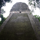 Tikal526.jpg