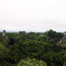 Tikal545.jpg