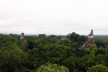 Tikal545.jpg