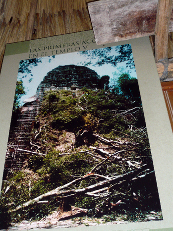 Tikal581.jpg