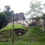 Tikal701.jpg