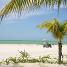 Holbox1206.jpg