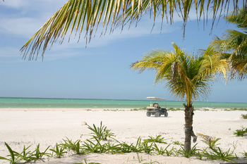 Holbox1206.jpg