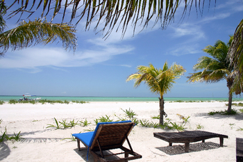 Holbox1210.jpg