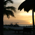 Holbox1410.jpg