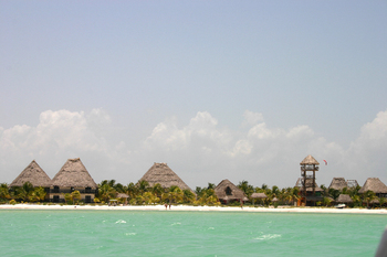 Holbox3102.jpg