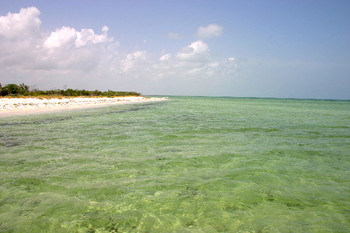 Holbox3104.jpg