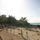 Tulum103.jpg