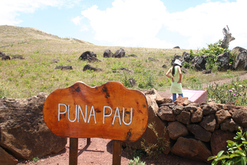 PUNA002.JPG