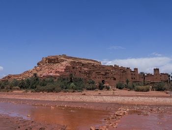CMN7013.jpg