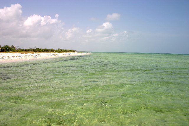 http://www.itonaika.com/column/images/Holbox3104.jpg