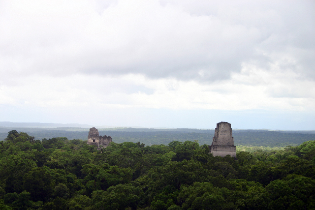 http://www.itonaika.com/column/images/Tikal453.jpg
