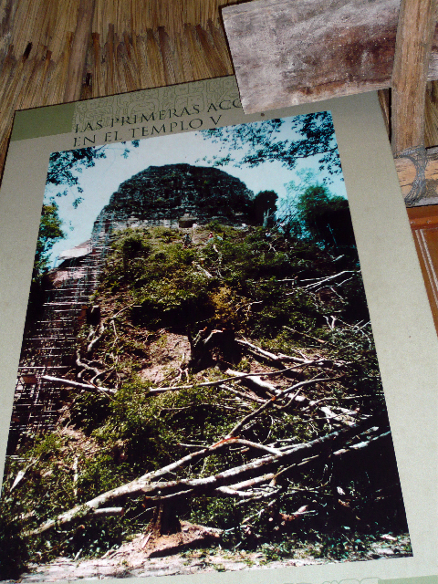 http://www.itonaika.com/column/images/Tikal581.jpg