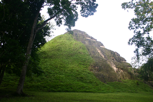 http://www.itonaika.com/column/images/Tikal703.jpg