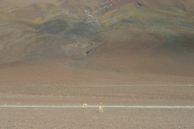 http://www.itonaika.com/column/images/uyuni1028.jpg