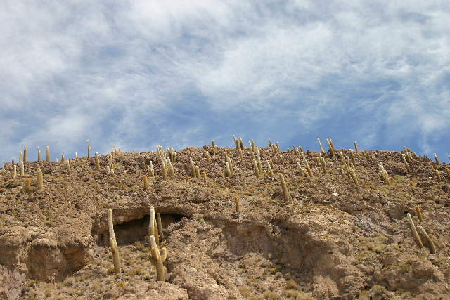 http://www.itonaika.com/column/images/uyuni1214.jpg